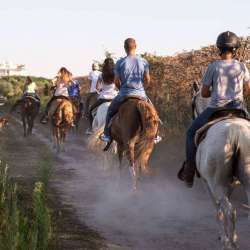Equitazione Cavallino Treporti