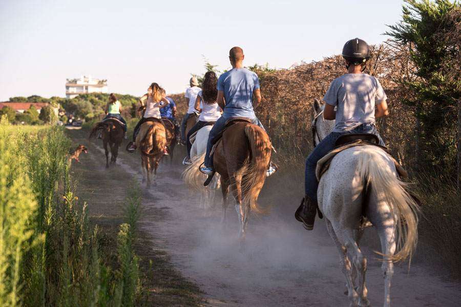 Equitazione Cavallino Treporti