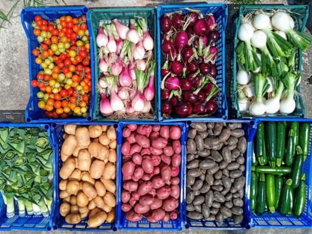 Junior Farm misto