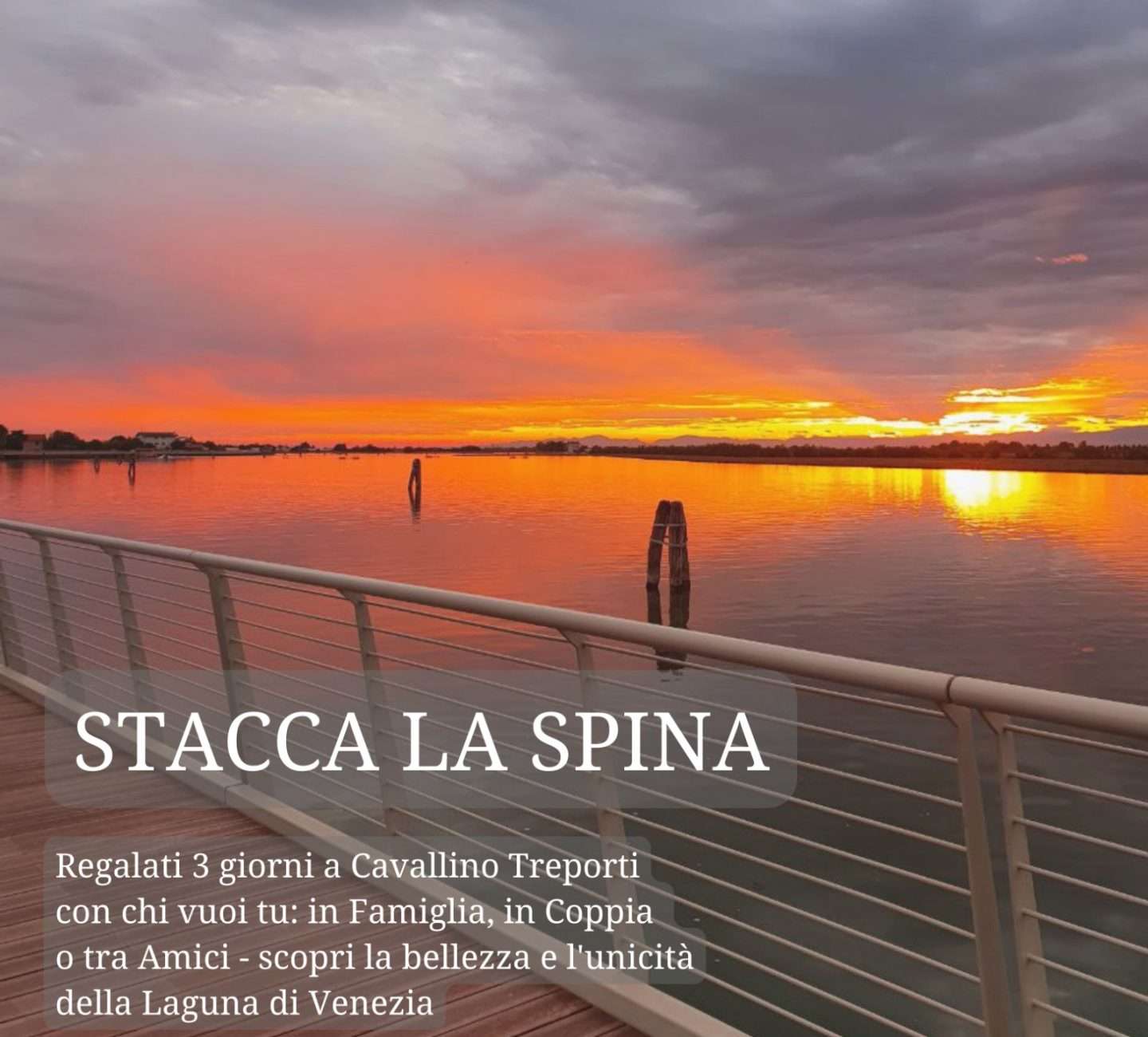 Stacca la Spina IT Q Stacca la Spina IT Q