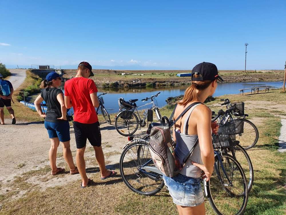 Fahrrad- und Bootsausflug in der Lagune von Venedig, einem UNESCO-Weltkulturerbe. Vom Hotel nach Lio Piccolo: Fahrt mit dem Fahrrad, Rückfahrt mit dem Schiff. Wir werden den neuen Abschnitt des Radwegs auf der Lagune entlang des Pordelio-Kanals zurücklegen, wir werden das Dorf Treporti durchqueren und dann Lio Piccolo entlang der Straße erreichen, die die Lagune überquert. Wir besichtigen die Kirche und das Museum, fotografieren den charakteristischen Glockenturm und mit etwas Glück auch die rosafarbenen Flamingos.