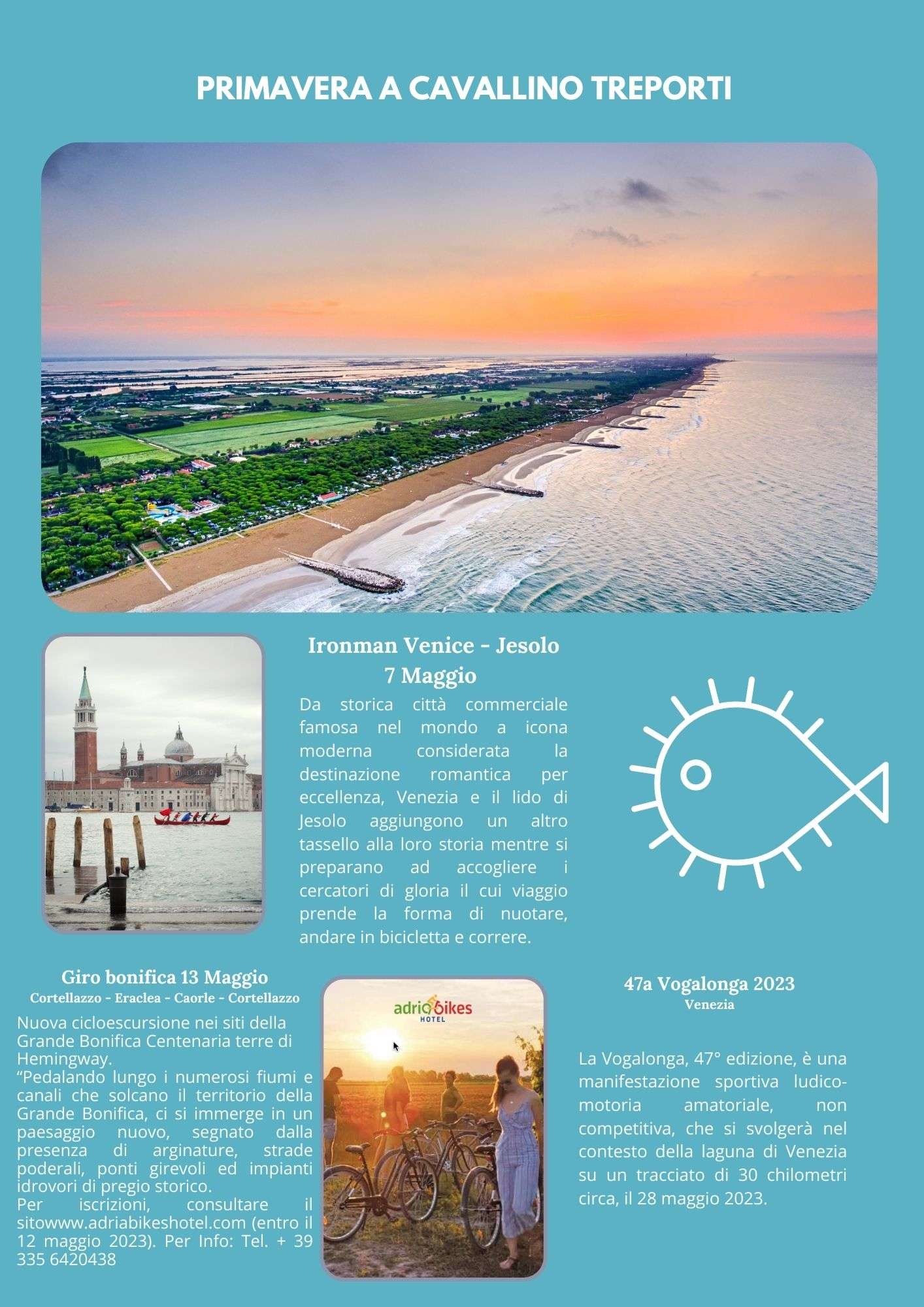 Blue Modern Beach Newsletter